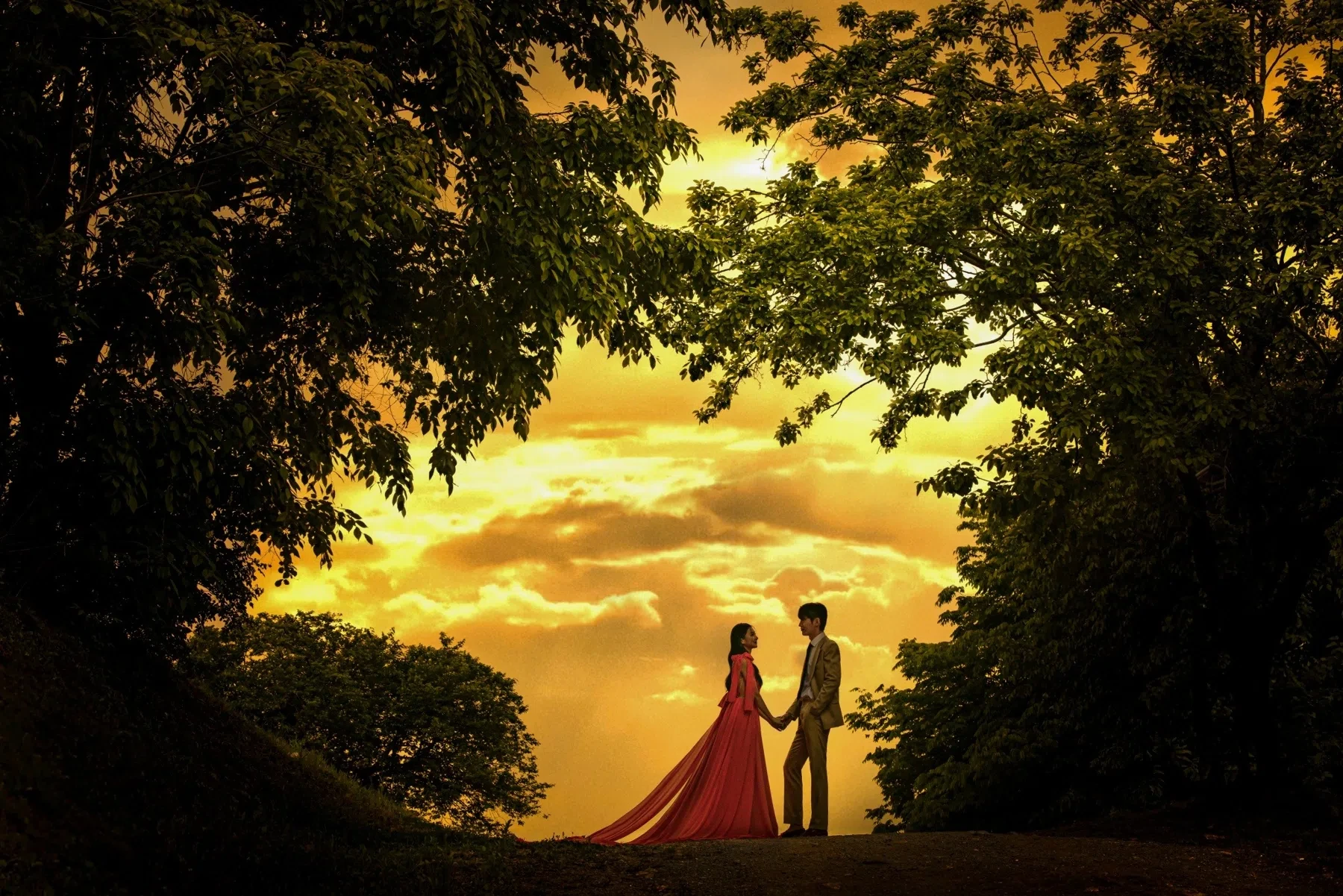 석양빛과 sunset forest의 배경을 활용한 석양 실루엣 컷입니다. 드라마틱한 색감과 실루엣 무드를 선호하는 커플에게 참고가 됩니다.