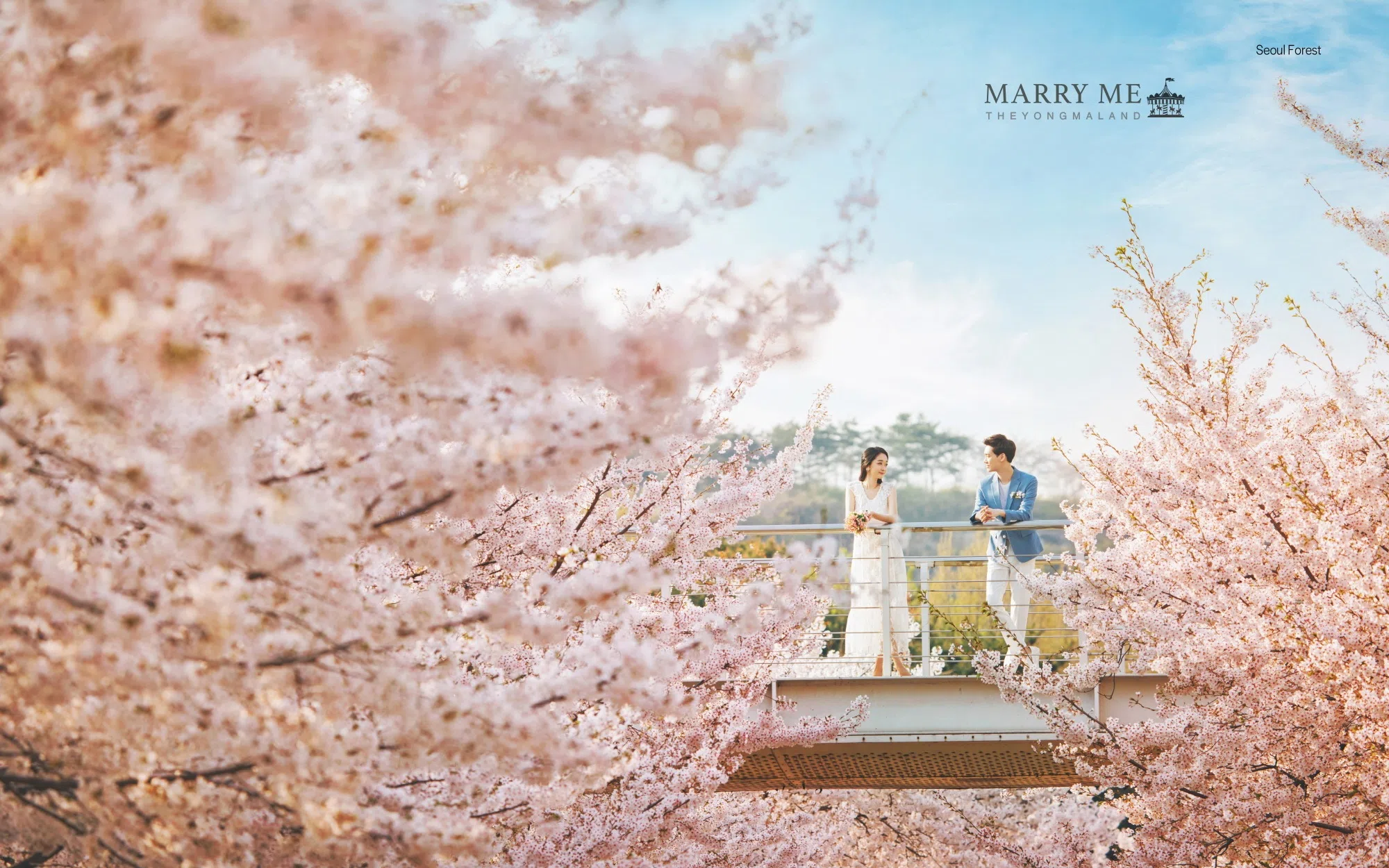 Archive: Marry Me The Yongmaland