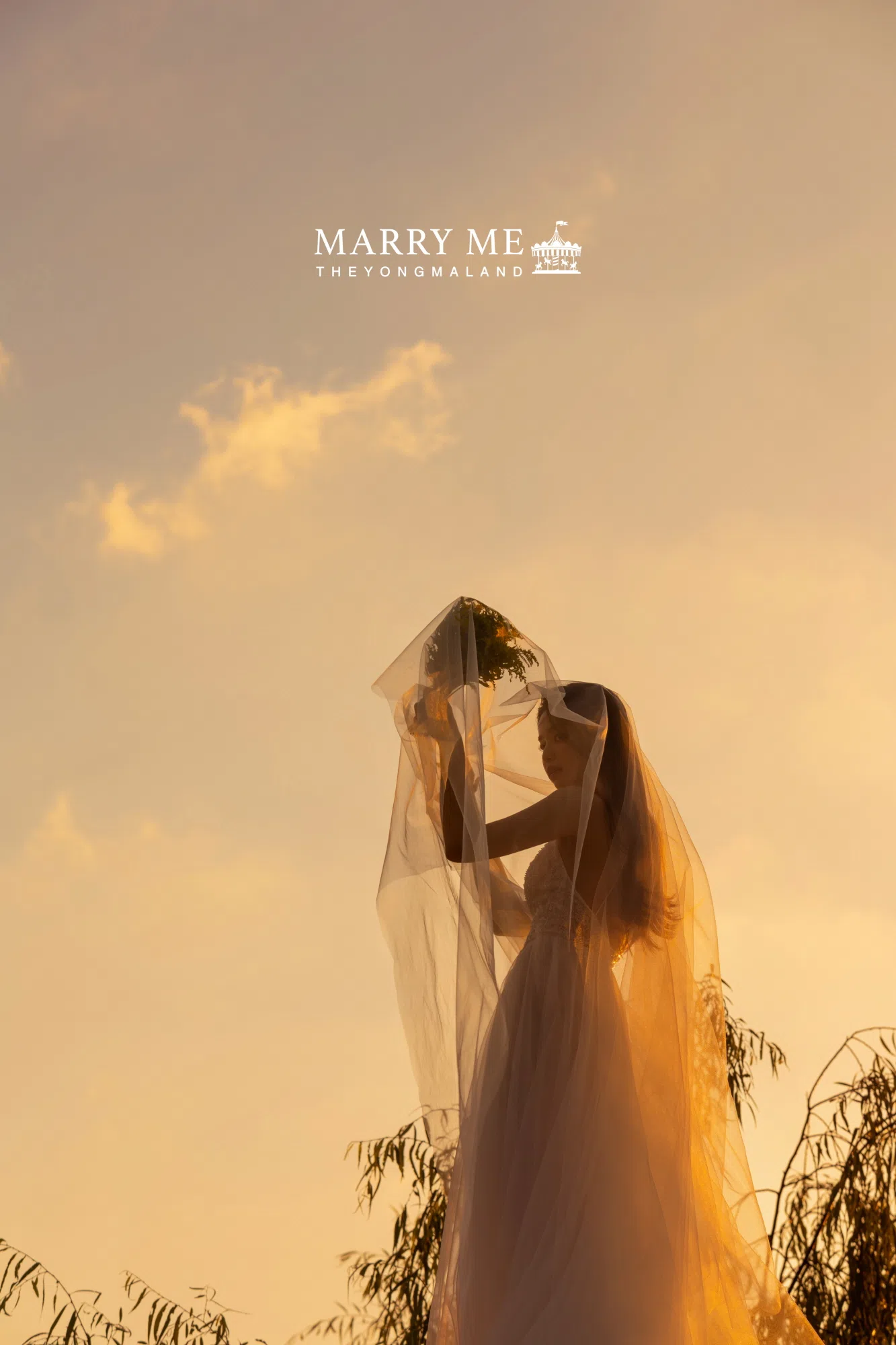 Archive: Marry Me The Yongmaland